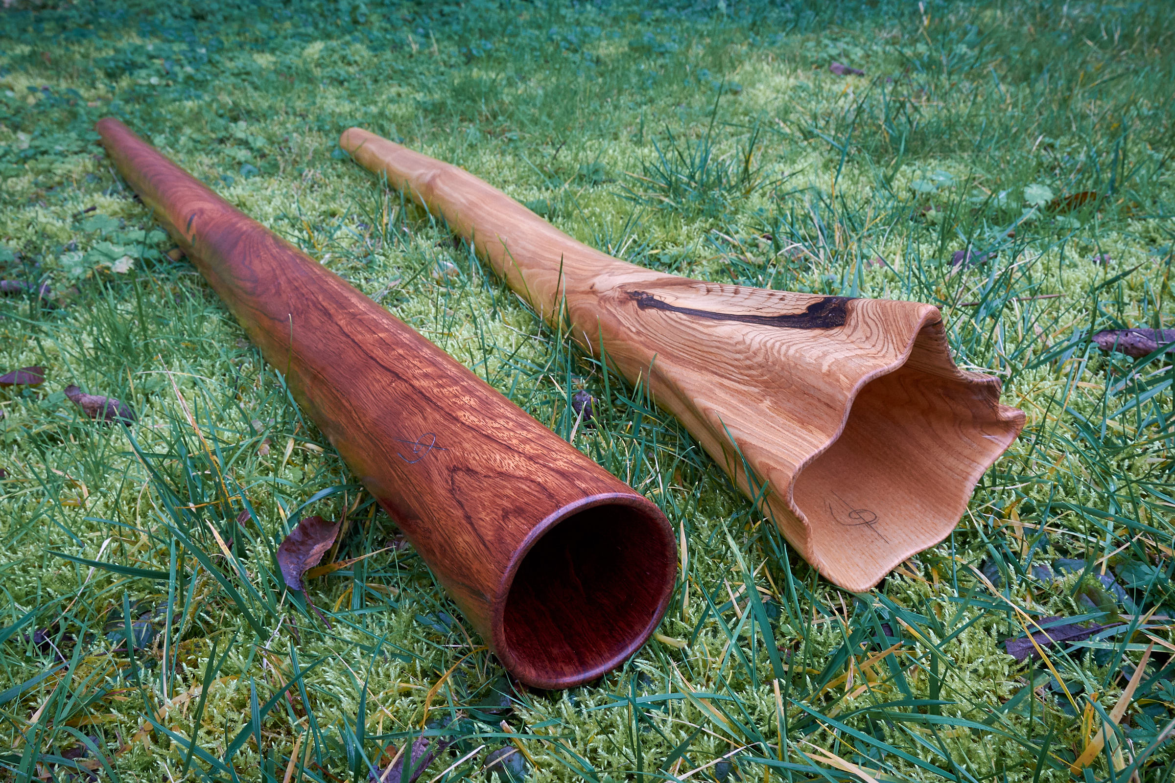 Deux didgeridoos haut de gamme : Do en Bubinga et Ré# en frêne olivier avec cloche sculptée